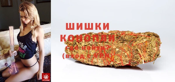 хмурый Новозыбков