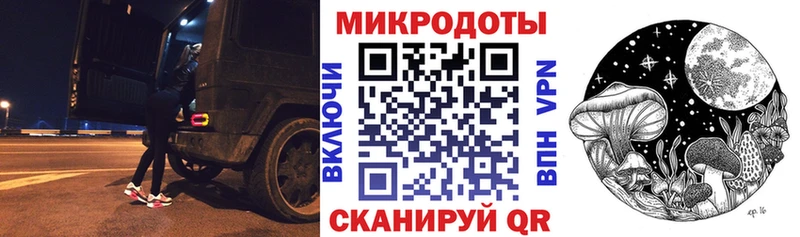 Галлюциногенные грибы Psilocybine cubensis  Черноголовка 