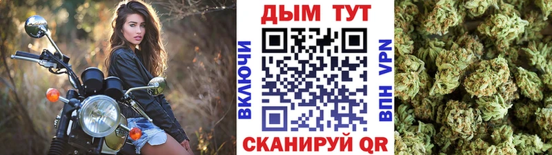 blacksprut ссылка Черноголовка Шишки марихуана планчик
